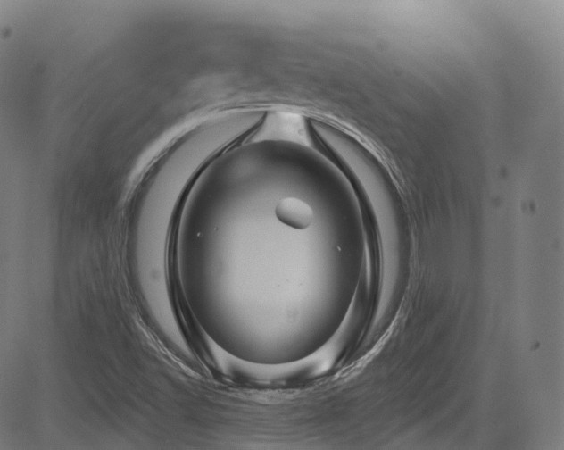 X0000085261502200703091310