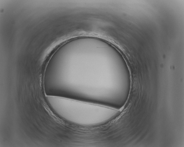 X0000085261503200703091310