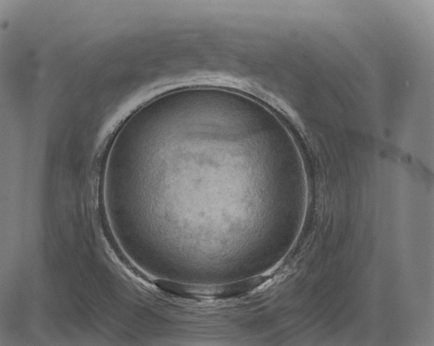 X0000085261504200703091310