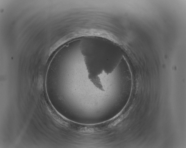 X0000085261505200703091310