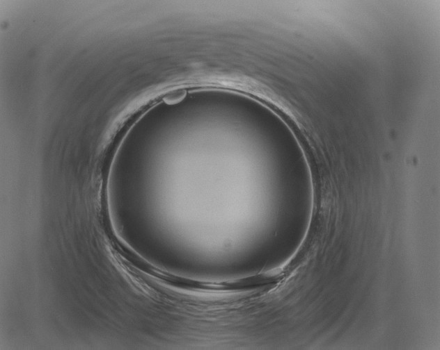 X0000085261507200703091310