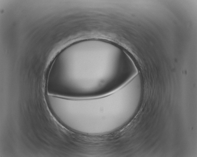 X0000085261508200703091310