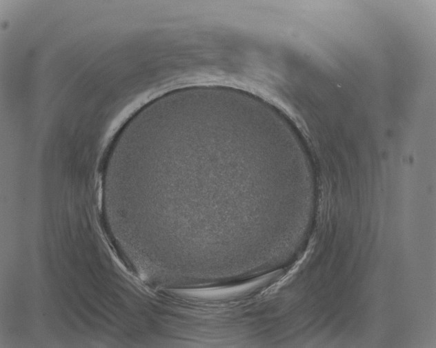 X0000085261509200703091310