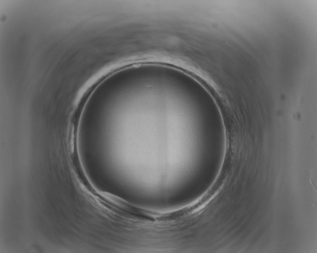 X0000085261510200703091310