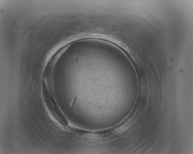 X0000085261511200703091310