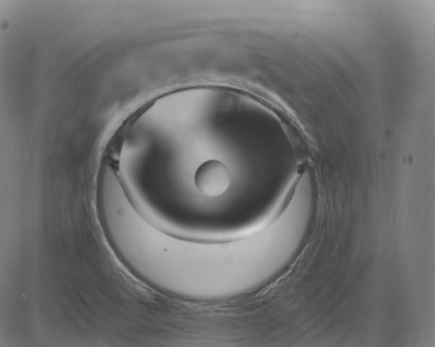 X0000085261512200703091310