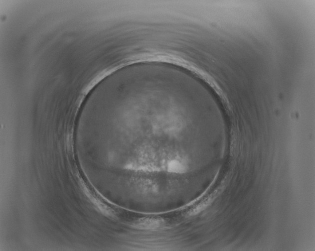 X0000085261513200703091310