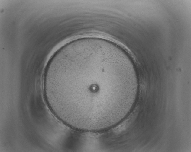 X0000085261514200703091310