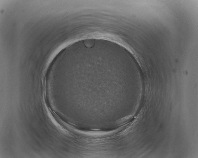 X0000085261515200703091310