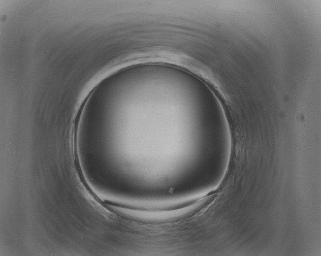 X0000085261516200703091310