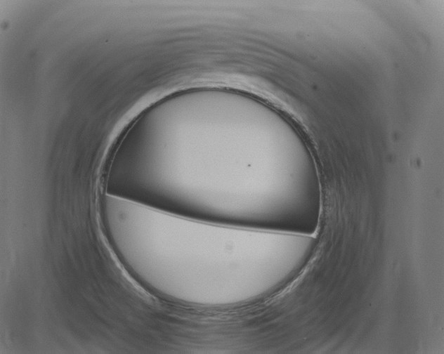 X0000085261517200703091310