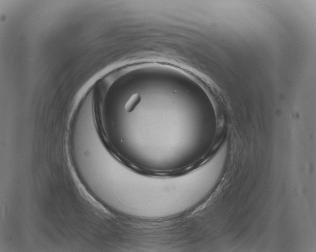 X0000085261518200703091310