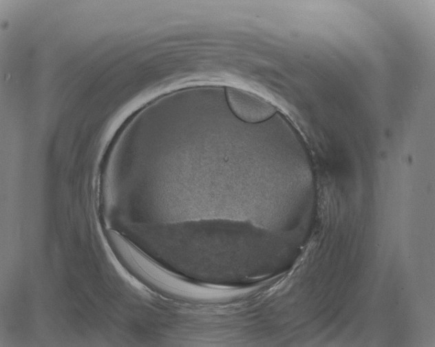 X0000085261519200703091310