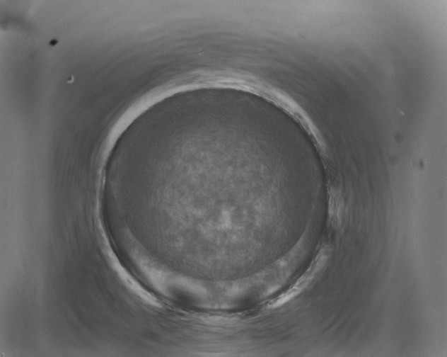 X0000085261520200703091310