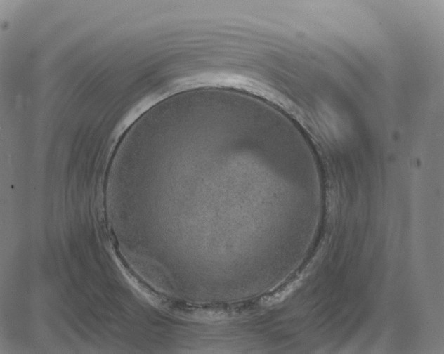 X0000085261521200703091310