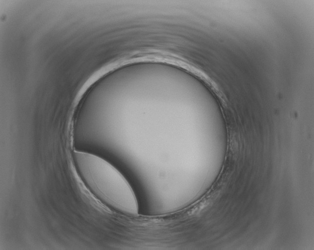 X0000085261522200703091310