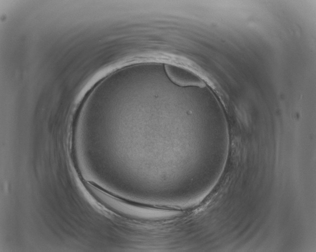 X0000085261523200703091310