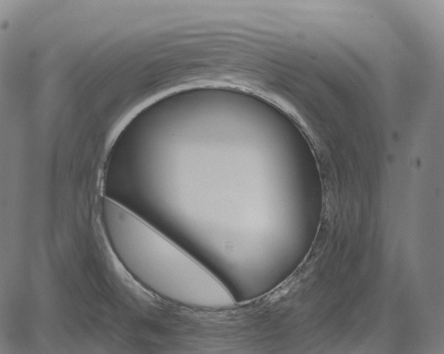 X0000085261524200703091310