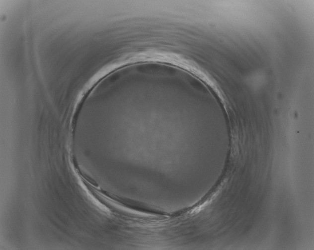 X0000085261525200703091310