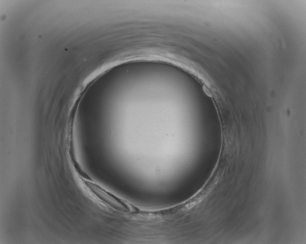 X0000085261526200703091310