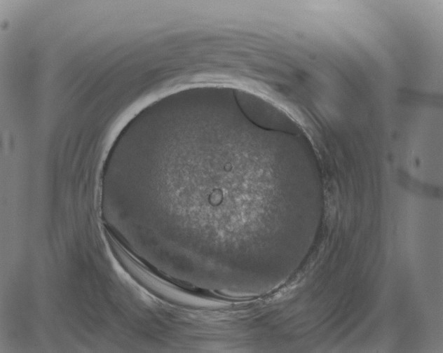 X0000085261527200703091310