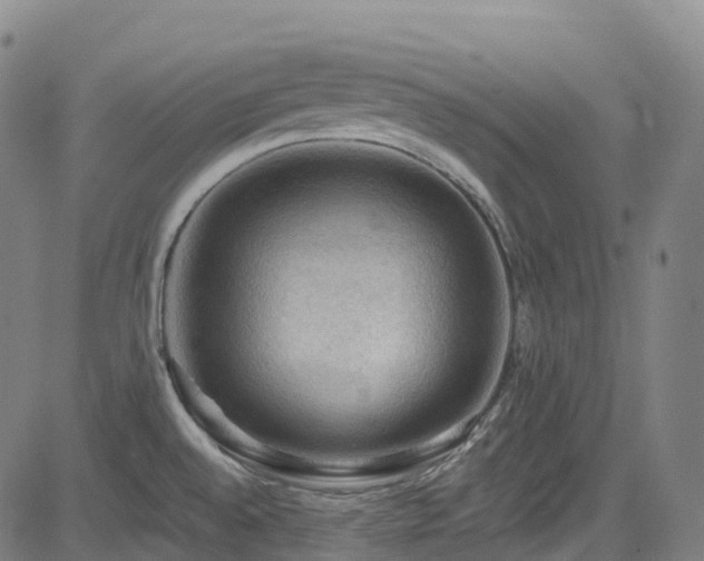 X0000085261528200703091310