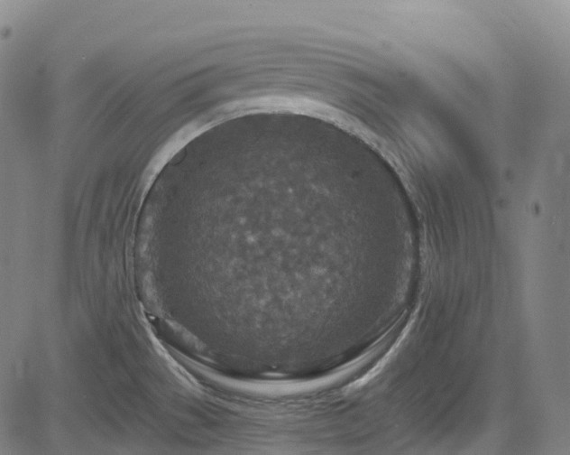 X0000085261529200703091310