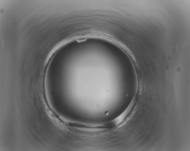 X0000085261530200703091310