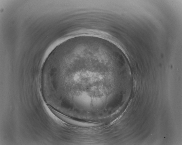 X0000085261531200703091310