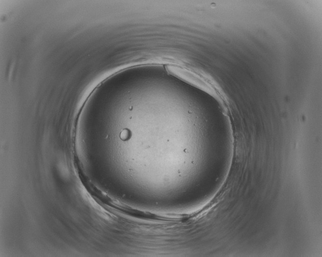 X0000085261532200703091310