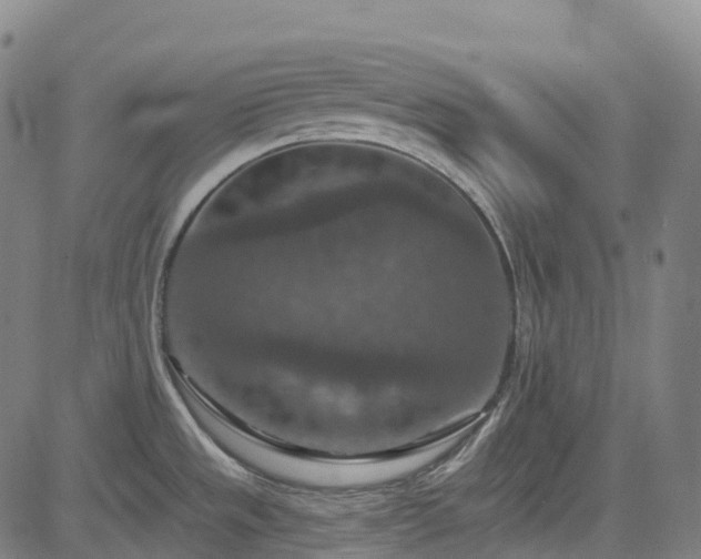 X0000085261533200703091311