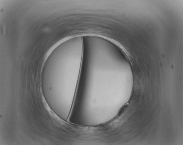 X0000085261534200703091311