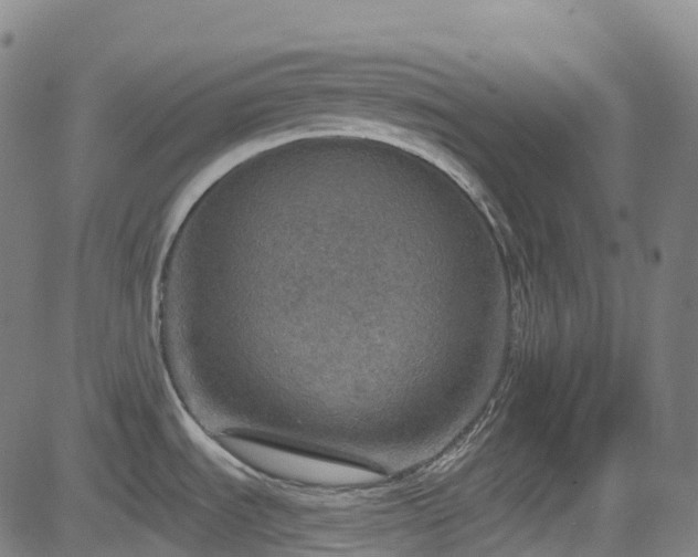 X0000085261535200703091311