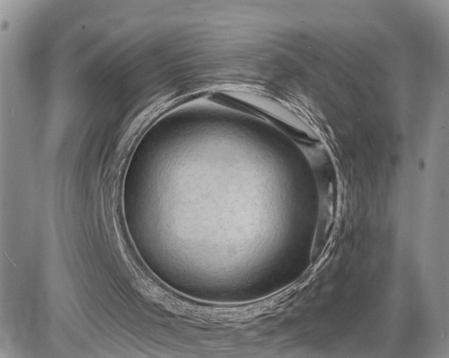 X0000085260001200703161416