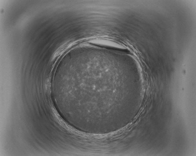 X0000085260002200703161416