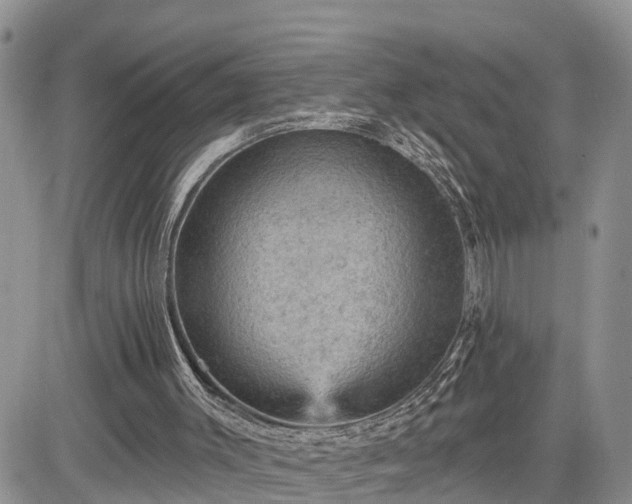 X0000085260003200703161416