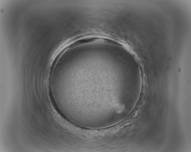 X0000085260007200703161416