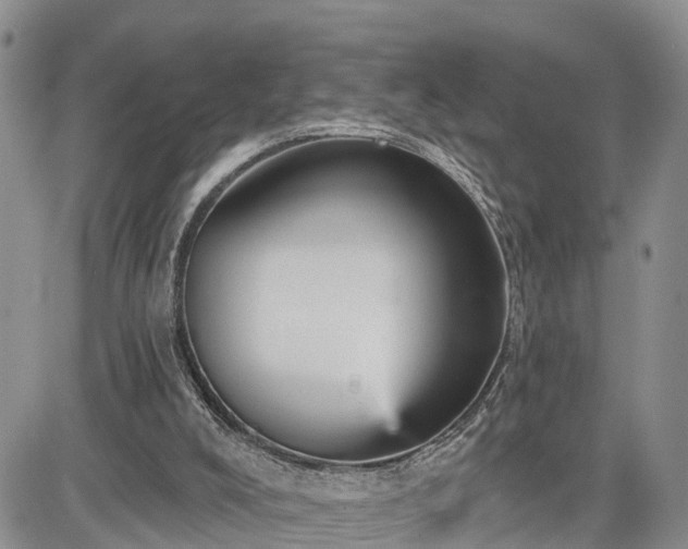 X0000085260008200703161416