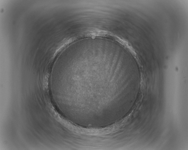 X0000085260010200703161416