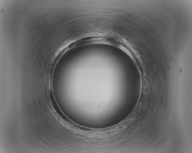 X0000085260011200703161416