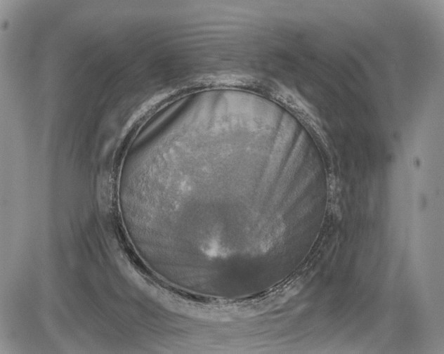 X0000085260012200703161416