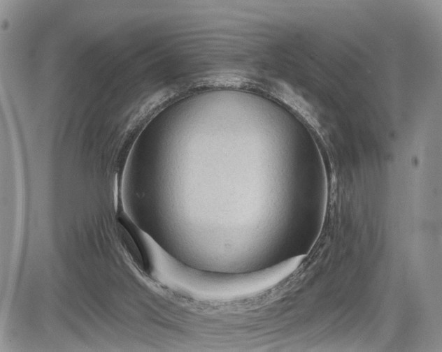 X0000085260013200703161416