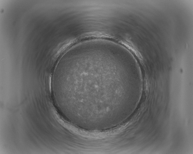 X0000085260014200703161416