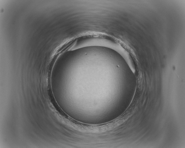 X0000085260015200703161416