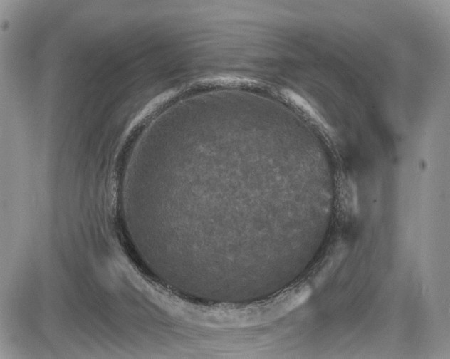 X0000085260016200703161416