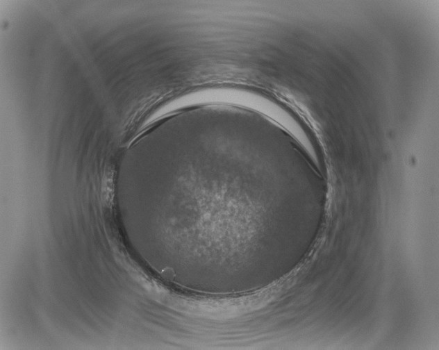 X0000085260017200703161416