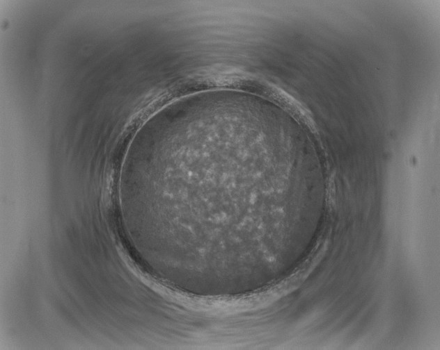 X0000085260018200703161416