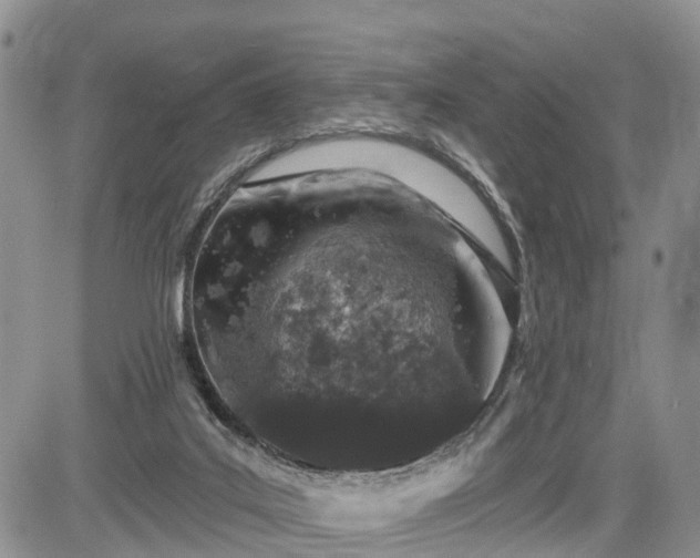 X0000085260019200703161416