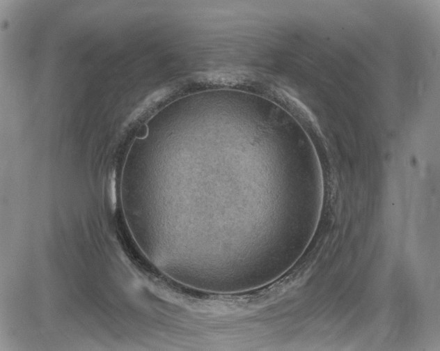 X0000085260020200703161415