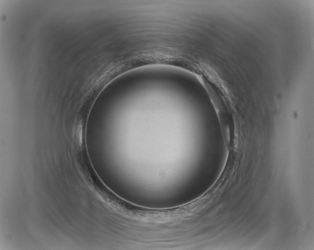 X0000085260021200703161415